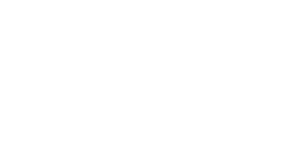 Lion Company - Business Offering